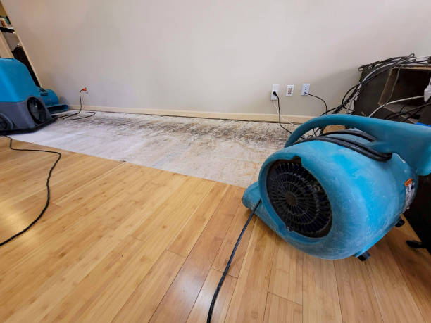 Professional Basement Flood Cleanup technician working in Mesick, MI